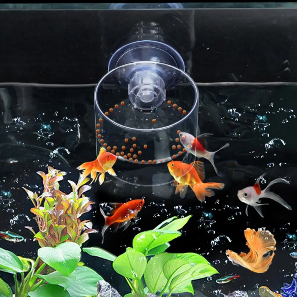 Rectangle/Round Aquarium Suction Cup Feeder Transparent Acrylic Acrylic Aquarium Fish Feeder with Suction Cup Fixed-Point