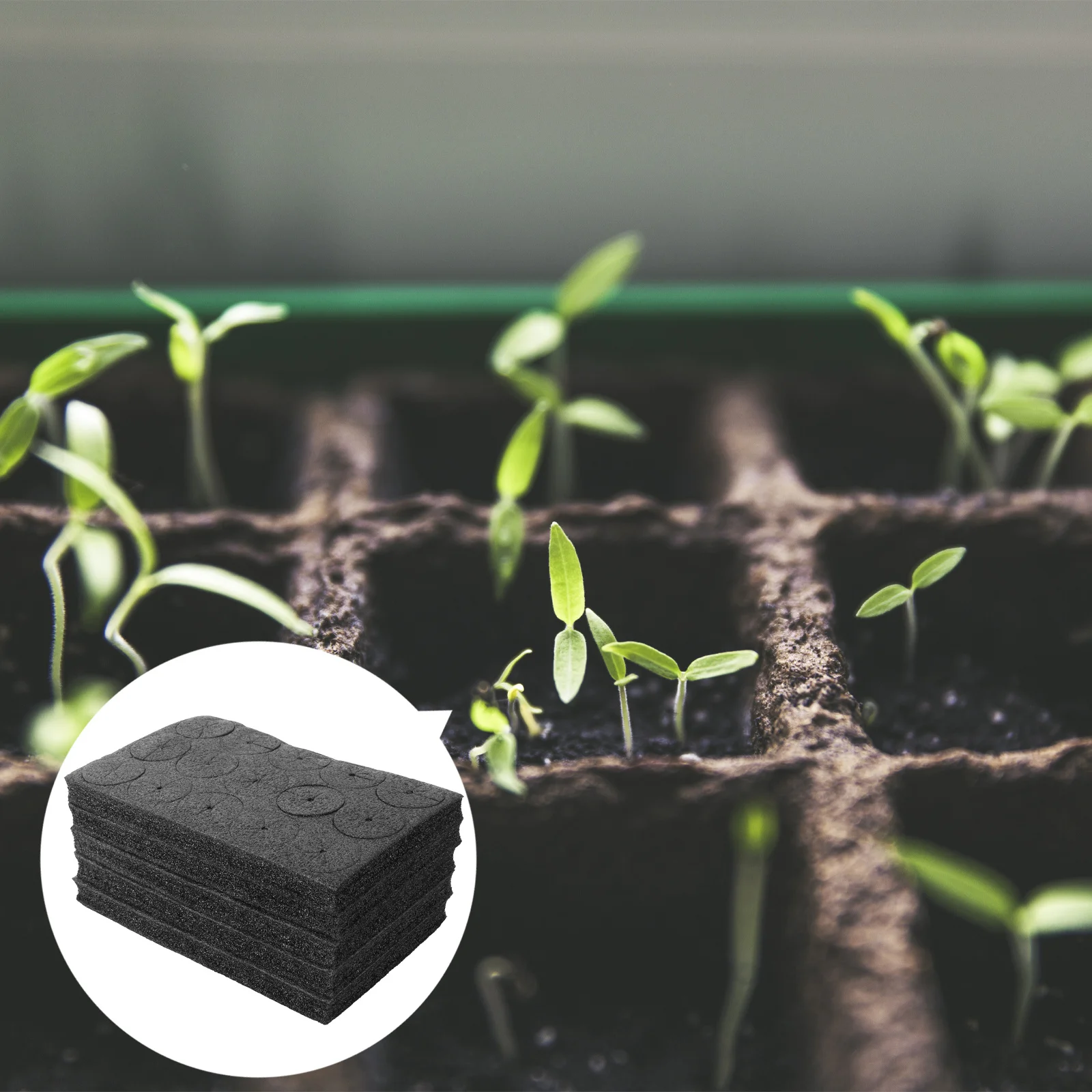 

75Pcs Hydroponic Planting Sponges Seedling Cultivation Tool Soilless for Greenhouse Vegetable Melon Berry Gardening Hydroponic