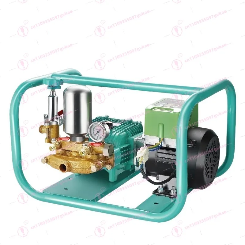 Intelligent Variable Frequency Electric Sprayer, 48-72V & 220V Agricultural Spraying Machine for Garden