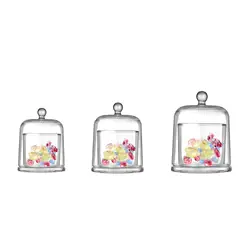 Clear Cloche Glass Dome Candle Holder for Jewelry Collectibles Fairy Lights