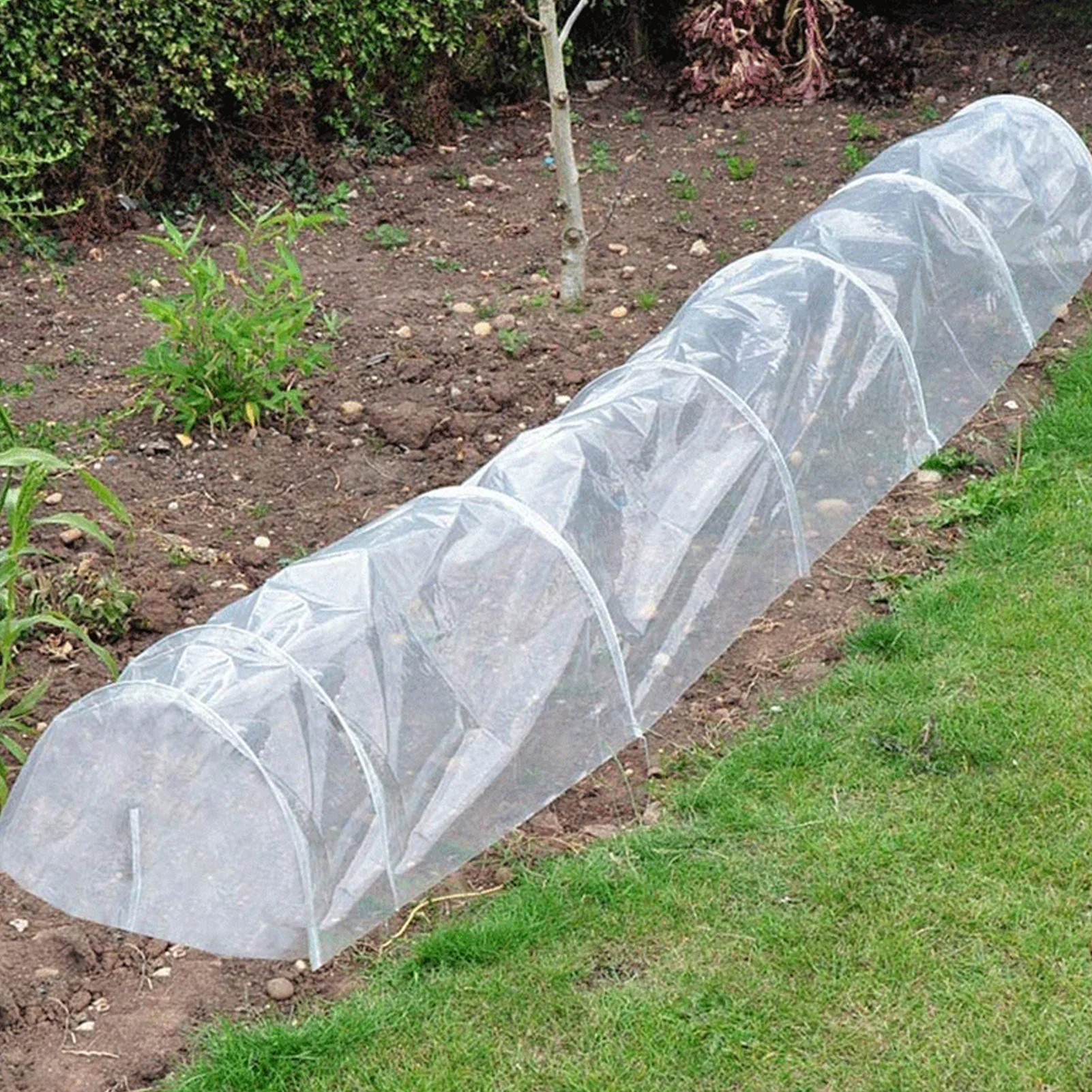 

Clear Greenhouse Film Plastic Transparent Antifreeze GreenHouse Films For Winter Outdoor Garden Plants