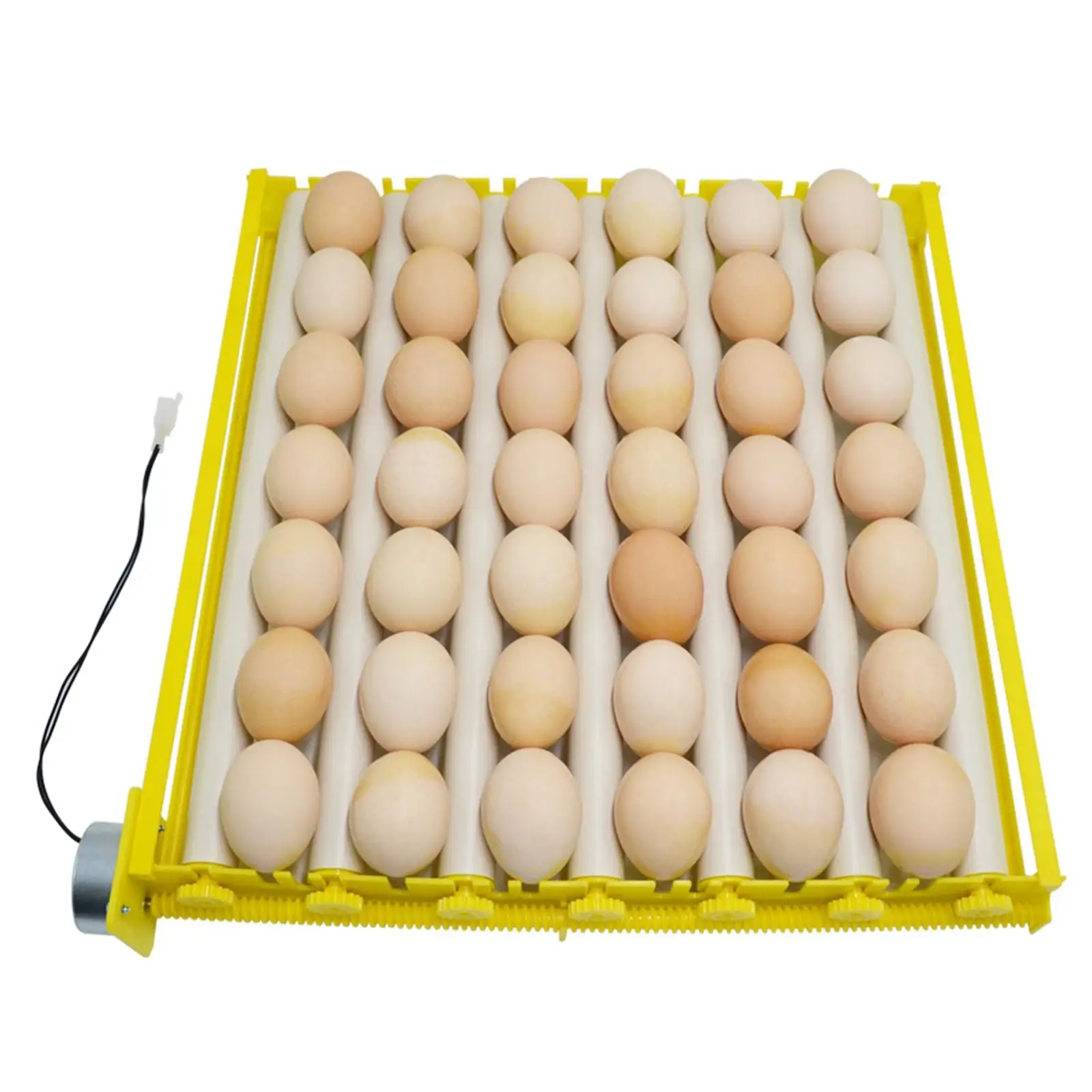 Egg Incubator, 12V Automatic Egg 42/56 Eggs Poultry Hatching with Egg Turning