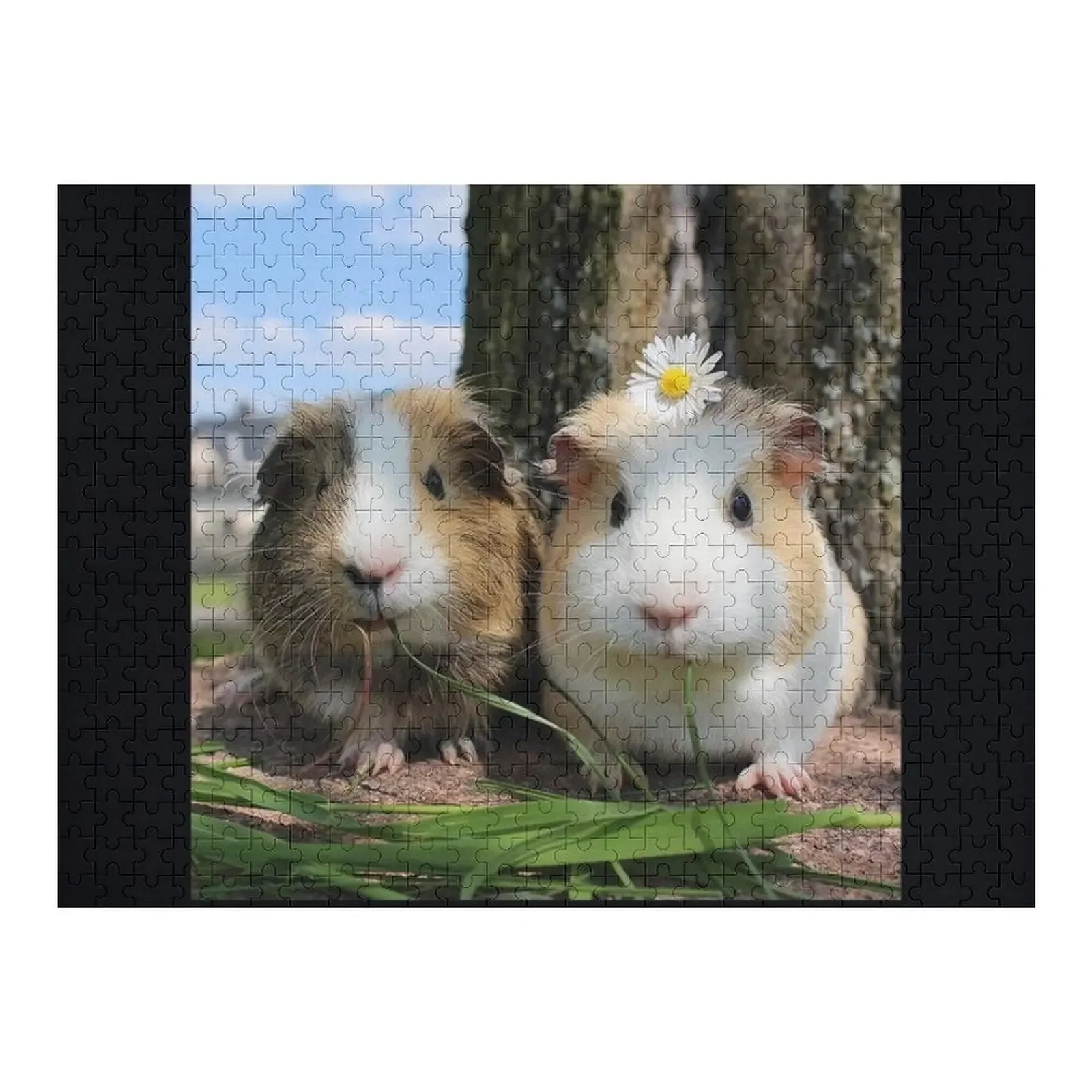 

Guinea Pig – Cavy Collection – Model 01 Jigsaw Puzzle Personalized Wooden Jigsaws For Adults Puzzle