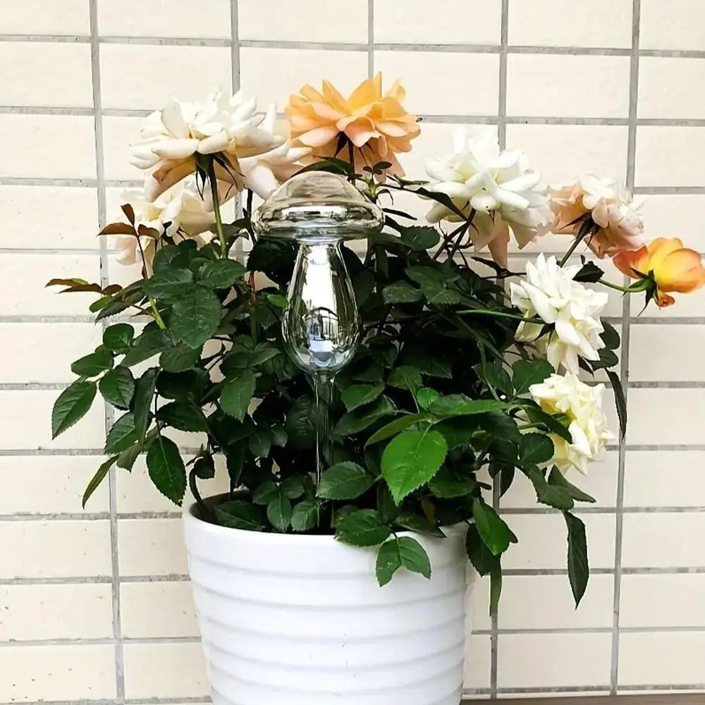Mushroom Shape Plant Watering Glass Globes Glass Rainbow Mushroom Automatic Watering Device Self Watering