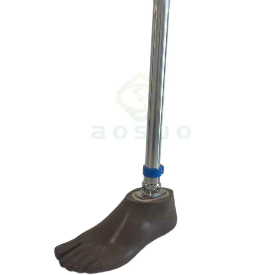 Hot Selling Orthotics Prosthetic Physiotherapy Devices Artificial Limb Sach Foot Leg Prosthesis for Rehabilitation Equipment