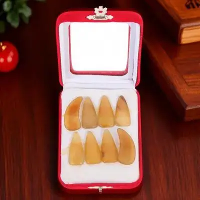 

1 set 1 Set Fake Nails Durable Finger Picks For String Instrument Practice Fake Finger Picks Guzheng Accessories Beginners
