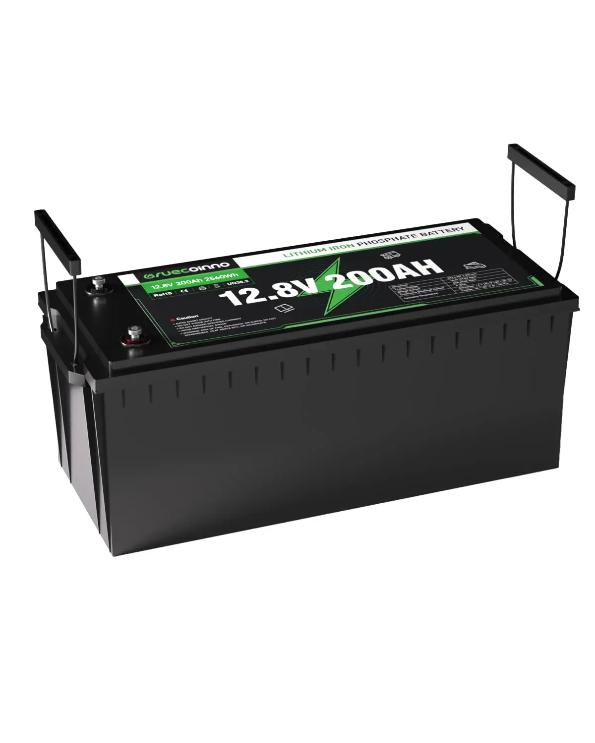 

Аккумулятор LiFePO4 12В 200Ач, 15000 глубоких циклов, встроенный BMS 200А, срок службы 10 лет, литий-железо-фосфатный аккумулятор глубокого разряда 2560Втч, на заказ