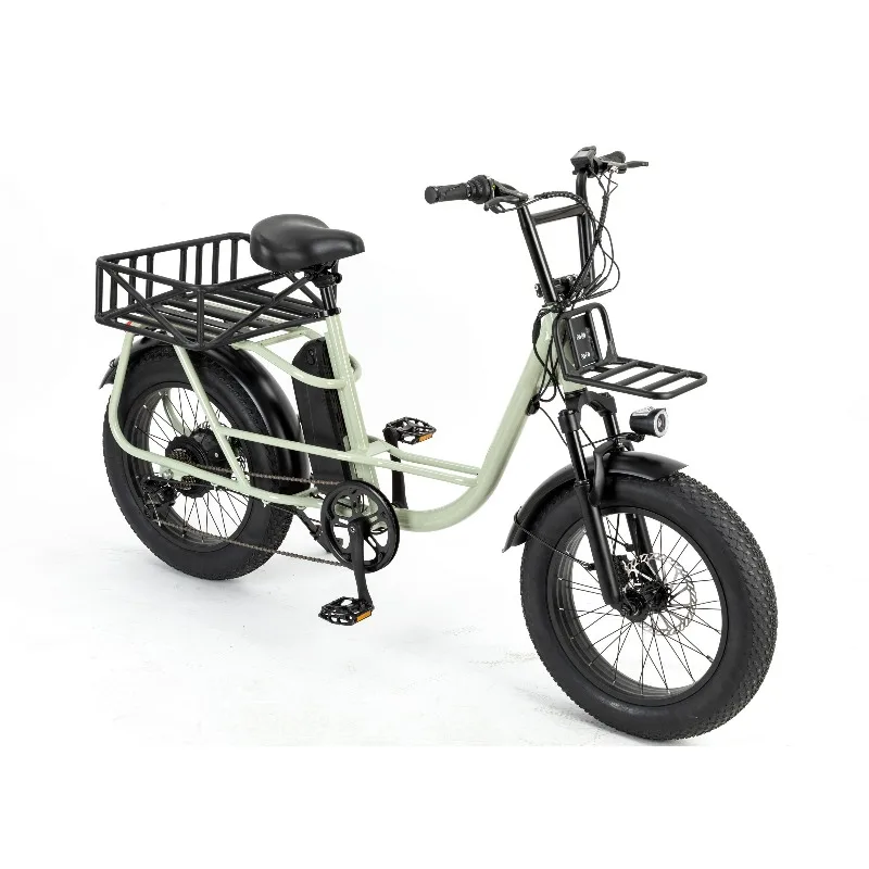 750W Multifunctional Fat Tire Electric Freight Express Mountain Bike Bicycle Electric with Throttle
