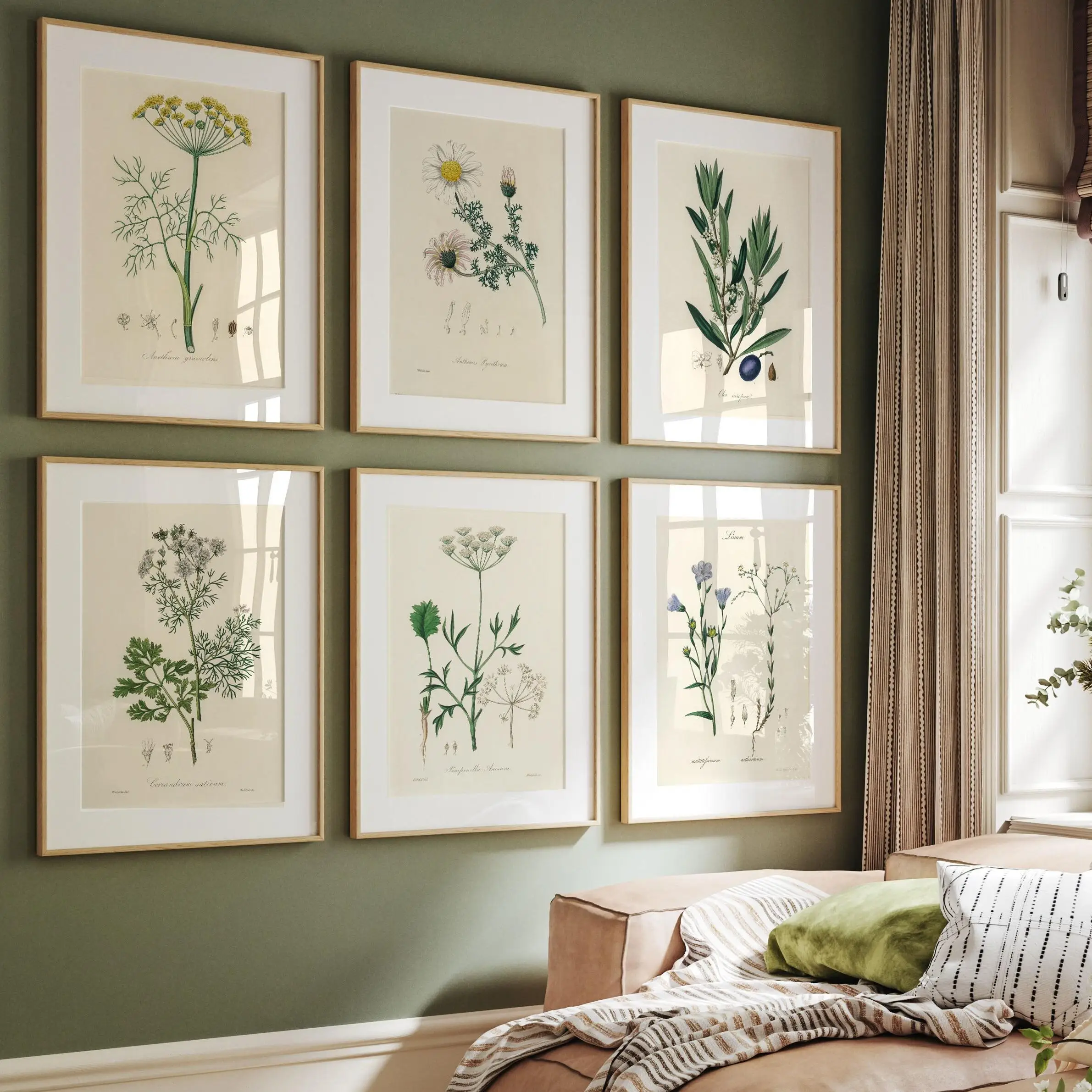 Vintage Botanical Fern Modern Flower Daisy Green Leaf Posters and Prints Canvas Printing Wall Art Picture for Living Room Decor