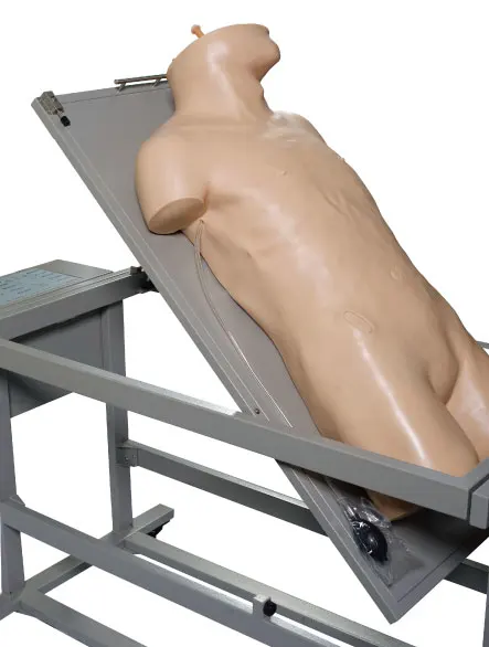 GD/L260A General Doctor Advanced Comprehensive Puncture Training Simulator Percussion Manikin