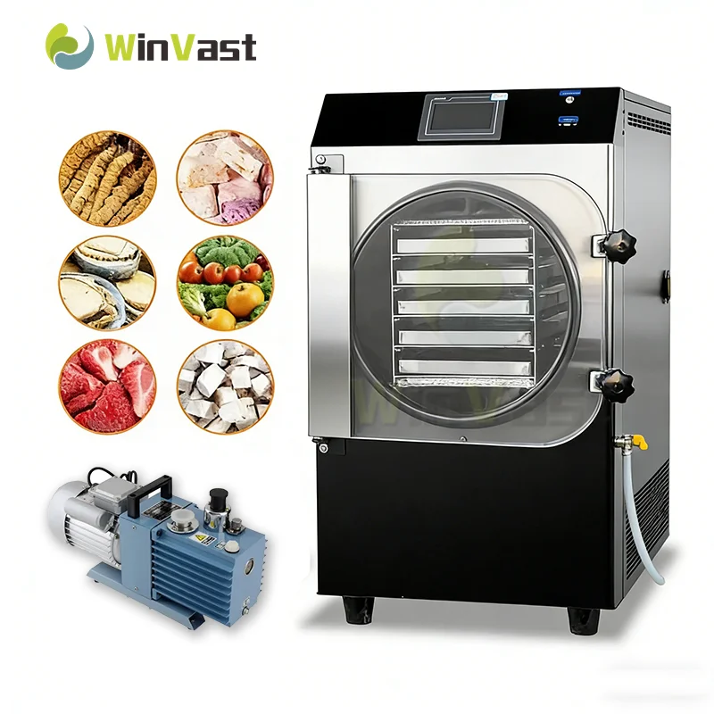 China Equipment Manufacturer Lyophilizer Vacuum Automatic Food Fruit Vegetable Freeze Machine Home Freeze Dryer Price For Sale