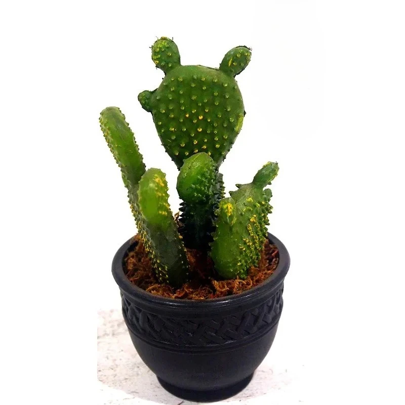 

Simulation plant Mini cactus Potted plant Indoor fake green plant Window decoration Landscape ornament Succulent cactus