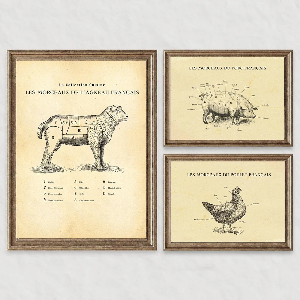 Französisch Rindfleisch Lamm Schweine fleisch Huhn schneidet Metzger Diagramm Poster drucken Wand kunst Bilder Leinwand Malerei Zimmer Schlafzimmer Wohnkultur Geschenk