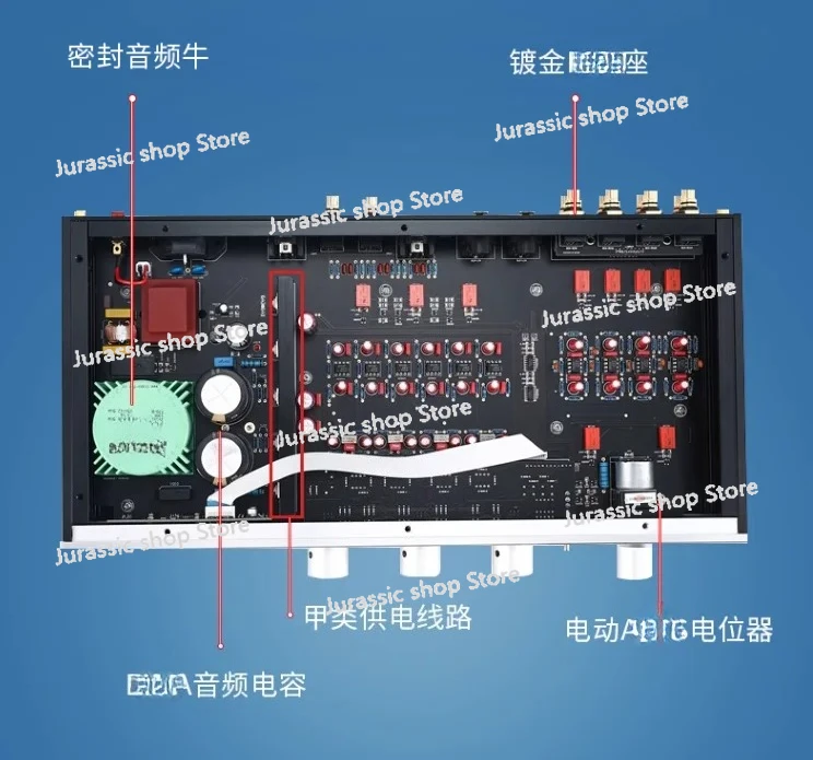 AM80 Classic MBL6010 Line Fully Balanced Edition with Front Level Remote Control for High, Medium, and Low Bass Adjustments