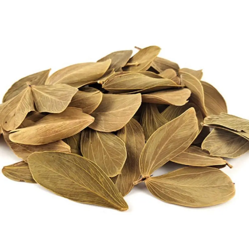 ورقة طبيعية حوض السمك الديكور 100 قطعة Termalia الطبيعية Catappa Foetida يترك خزانات الأسماك تصفية للبيئة الصحية