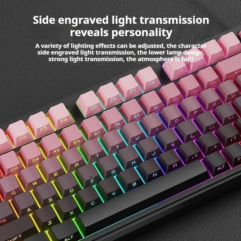 EWEADN Wired Gaming Keyboard, RGB Backlit with Side-Printed Gradient Keycaps, Multimedia Knob Control & Display Screen