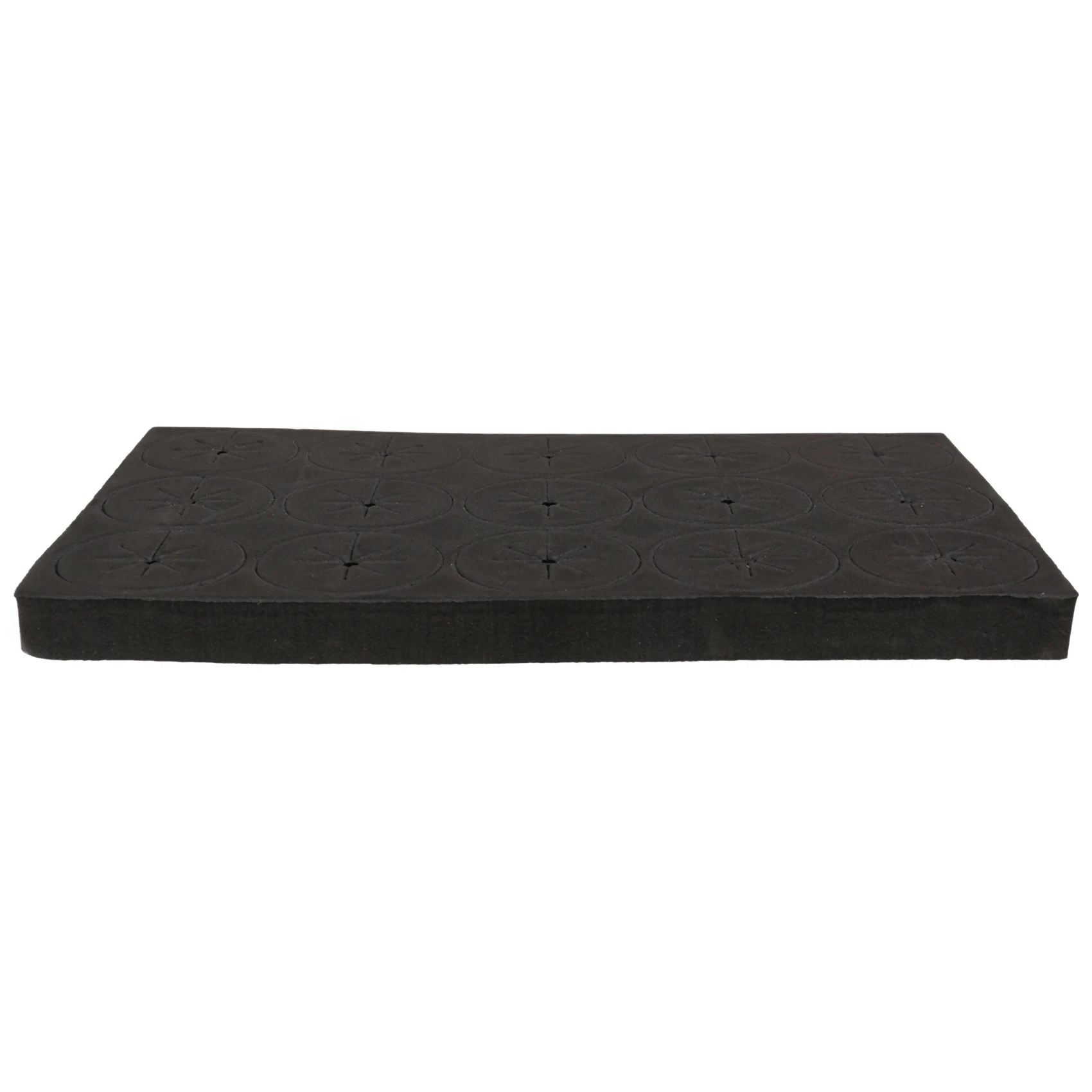 BAAG-60Pcs Garden Clone Collars Neoprene Inserts Sponge Block For 2 Inch Net Pots Hydroponics Systems And Cloning Machines