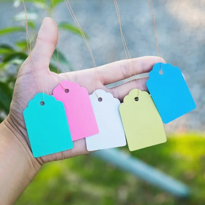 100 Pcs Plants Hang Tags with String, Plastic Reusable Plant Labels Hanging Marking Tags for Gardening Jewelry Clothing