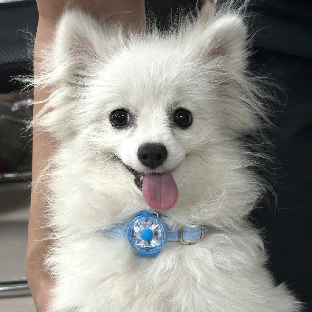 LED Pet Dog Cat Collar Light Night Safety Luminous Waterproof Flashing Harness Pendant for Dog Walking Accessories
