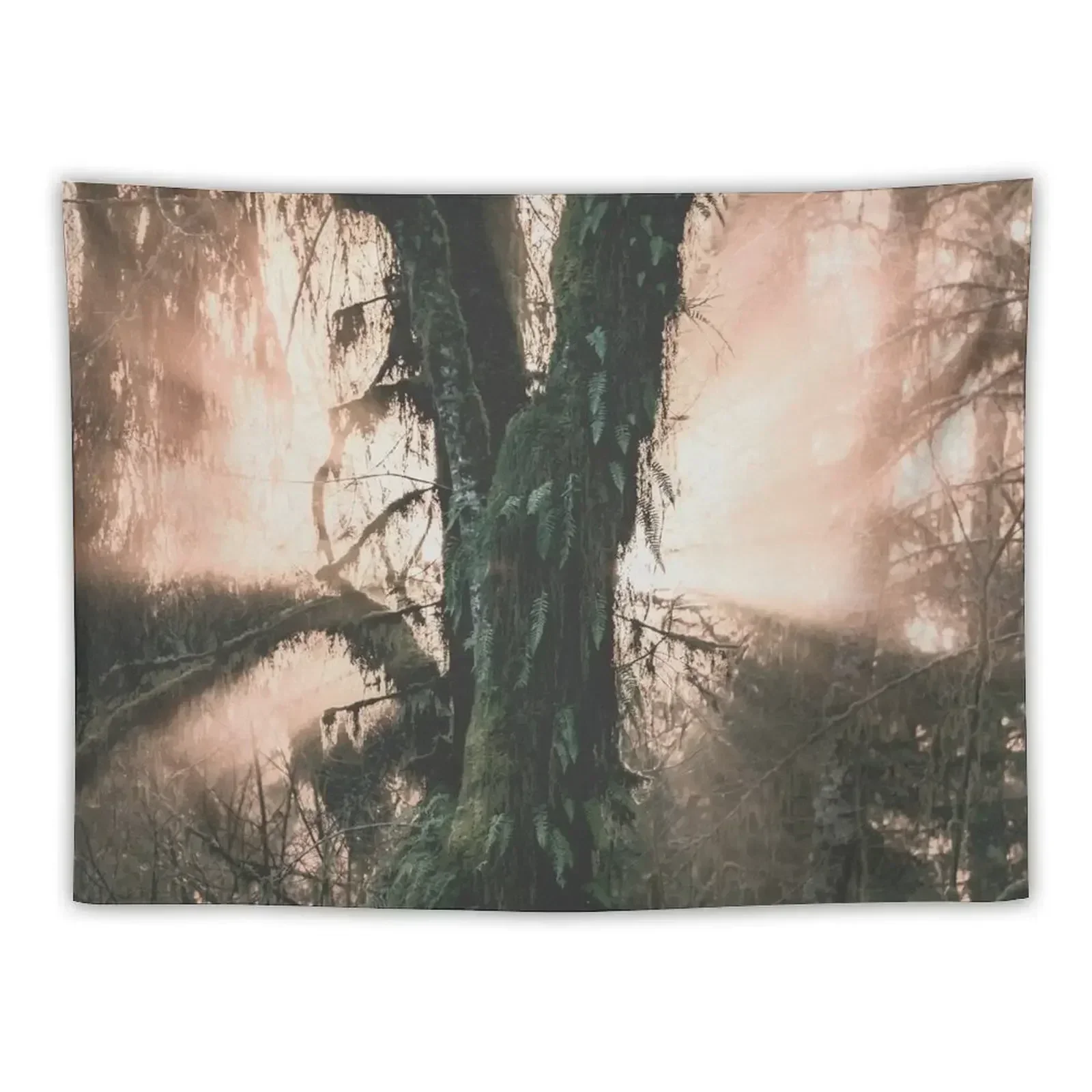 Hoh Rainforest Treasure Tapestry Home Decorators Home And Comfort Decor Aesthetics For Room Tapestry