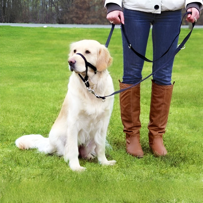 Hundehalsband, Maulkorb, Halfter, Trainingsleine, klassisches Halsband, verstellbares Anti-Bell- und Anti-Biss-Hundegeschirr, Hundezubehör – Detail 2