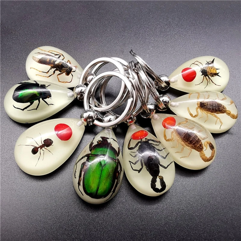 Luminous Amber Insect Keychain Black Resin for Key Ring Glow in the Dark Pendants with Insect Sample Inside image 3
