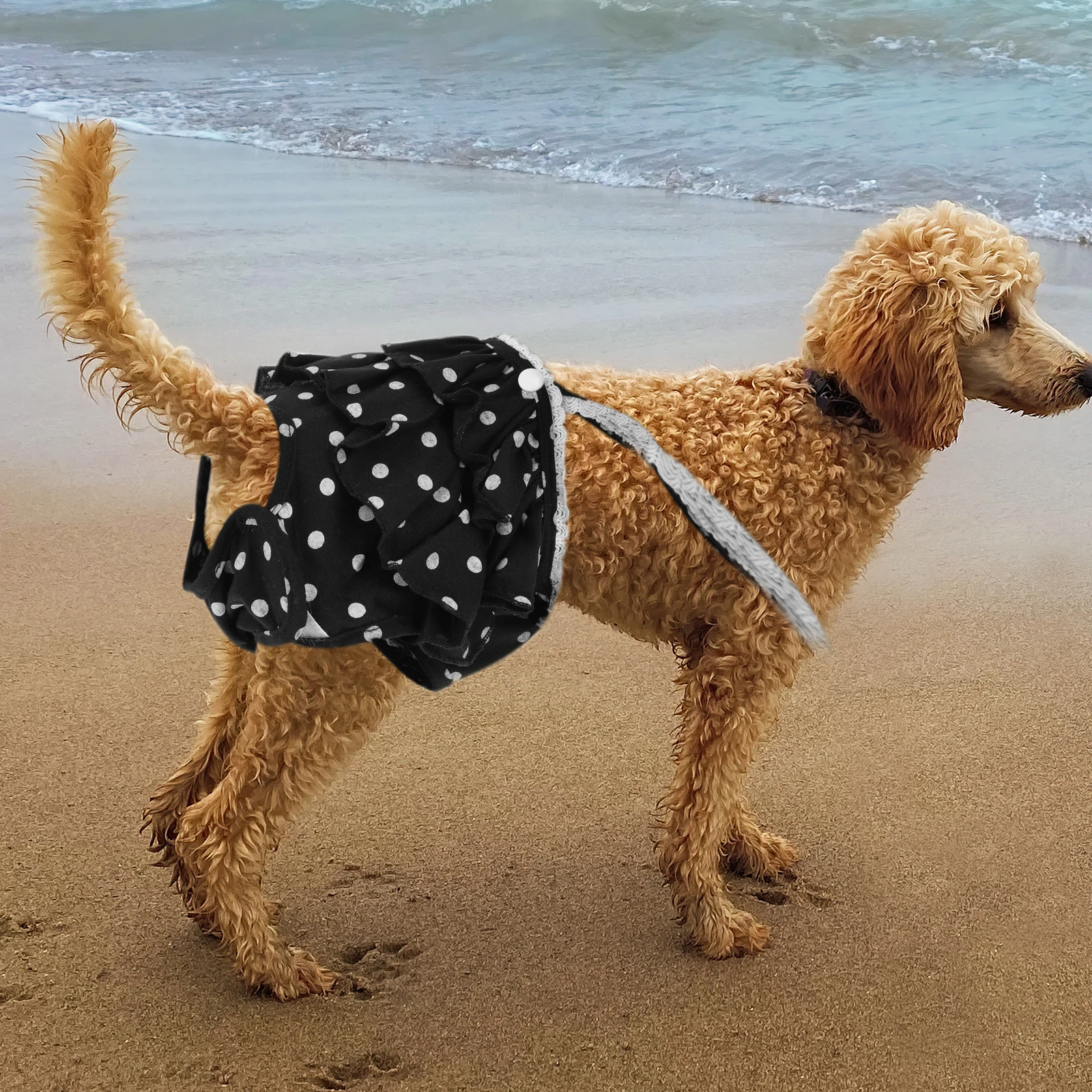 

1pc Physiological Diaper Dog Sanitary Pantie For Female Dogs In Heat Puppy Diapers Cotton Underwear Leakproof Protection Pants