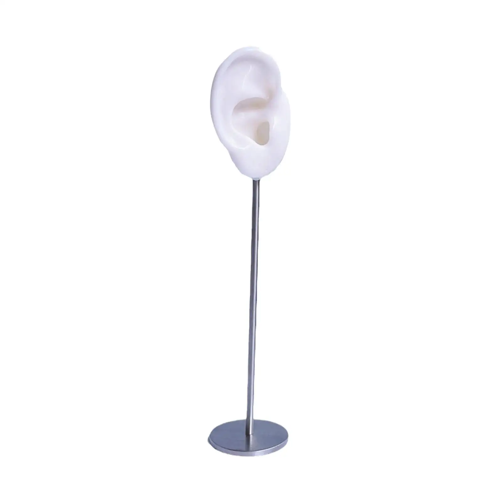 Earring Display Rack, Tabletop Decor Ear Model Stud Holder, Stable Round Base,