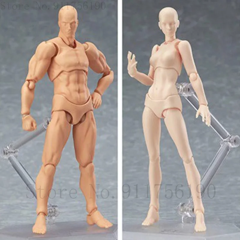 Light Body Chan Body Kun Action Figure PVC Movebale Archetype He She Ferrite SHF Version 2.0 Mannequin Drawing Model Figure Gift