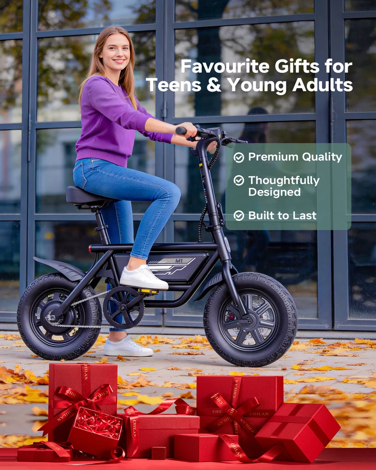 DYU M1 MINI 14x3.0 Fat Tire Folding Electric Bike 19.9MPH 20.5 Mile PAS Range 264LBS Load IP54 Urban Commuter E-Bike image 2
