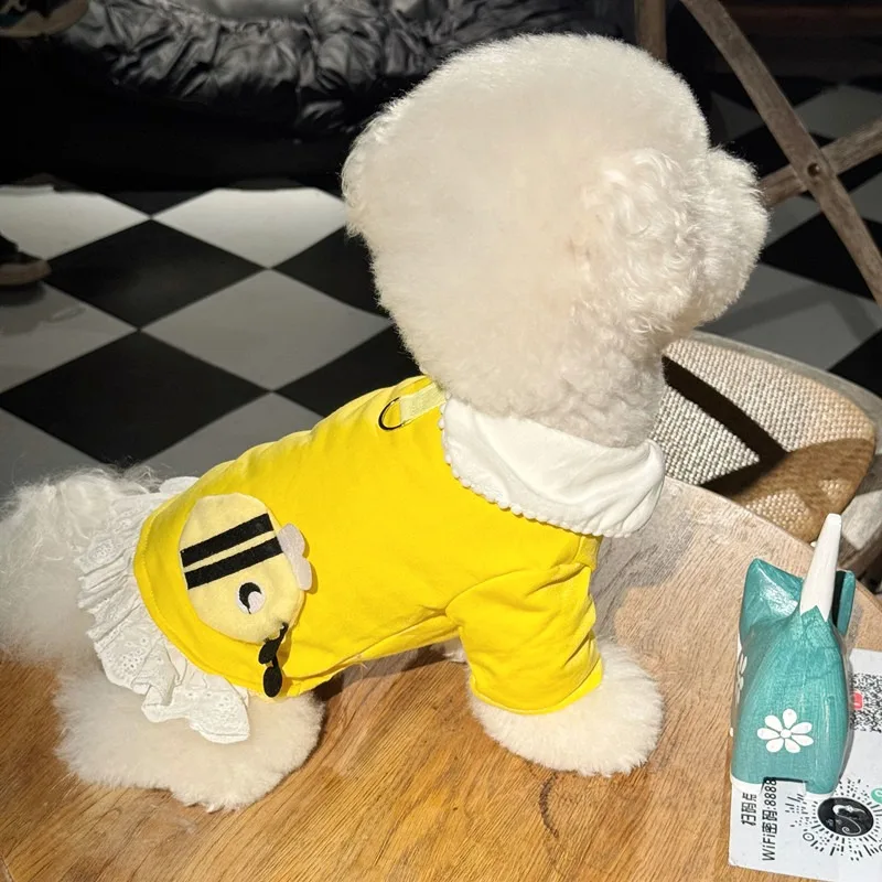 Kurzes Haustierkleid für kleine Hunde, Sommerkleidung, Pomeranian-Cartoon-Muster, Pullover, Bichon, süßer Prinzessinnenrock