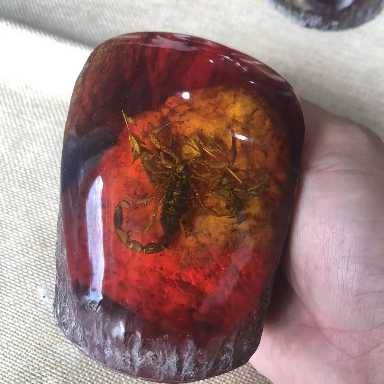 Antique crafts resin amber with insects scorpion cicada crab butterfly insect specimen stump ornaments