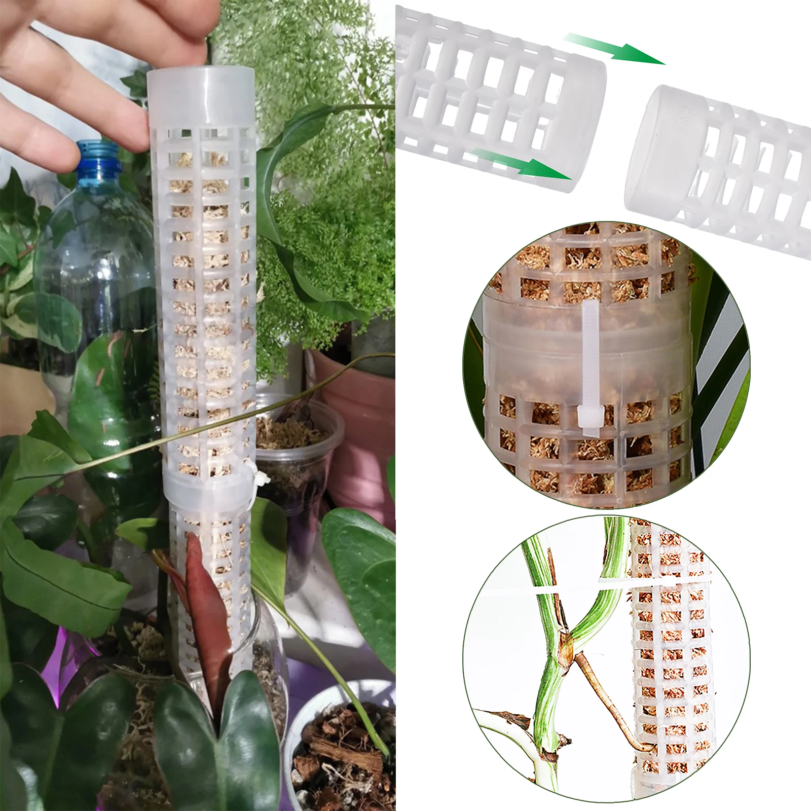 1PC plante escalade treillis e - Sphagnum Moss Dry avis et prix