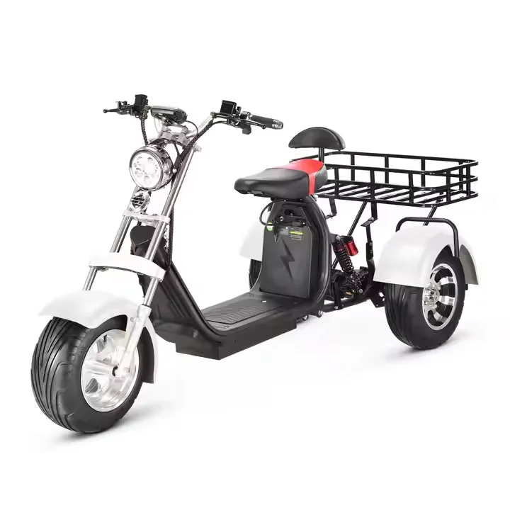 

New 3 Wheels Citycoco 2000W With EEC/COC Approved 3 Wheels City Coco Electric Tricycles