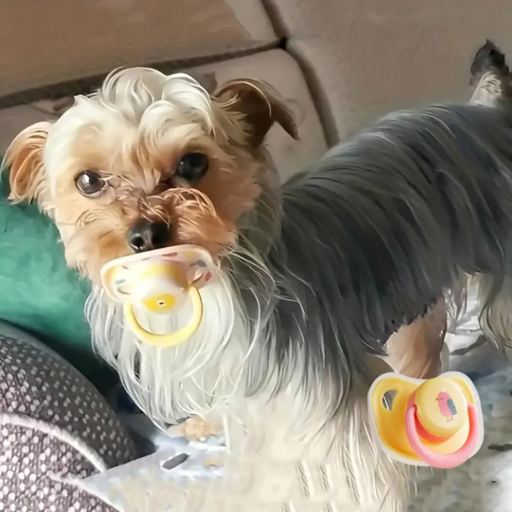 

Bite Resistant Pet Silicone Pacifier Silicone Chewing Pacifier Dogs Toys Clean Teeth Puppy Toys Cat Pacifier Soft