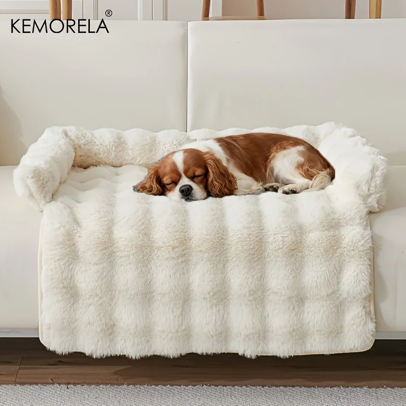 #22 New Dog Sofa Beds Arrivals