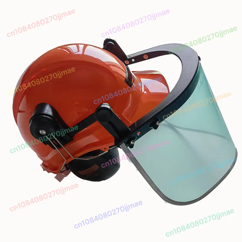 

Industrial Ship Car Cleaning Pressure Head Protection Work Safety Helmet with Shield and Earmuff