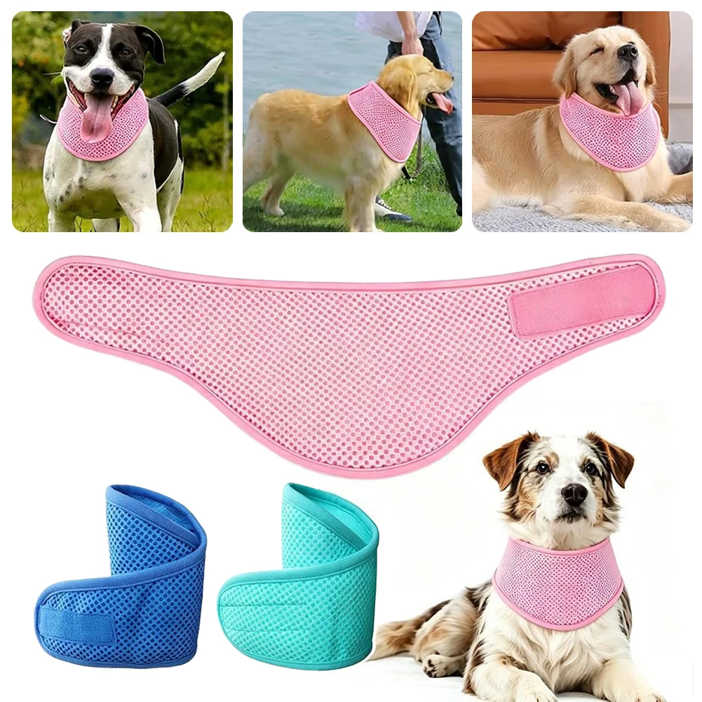 #34 Best Dog Bandanas to Buy In 2026