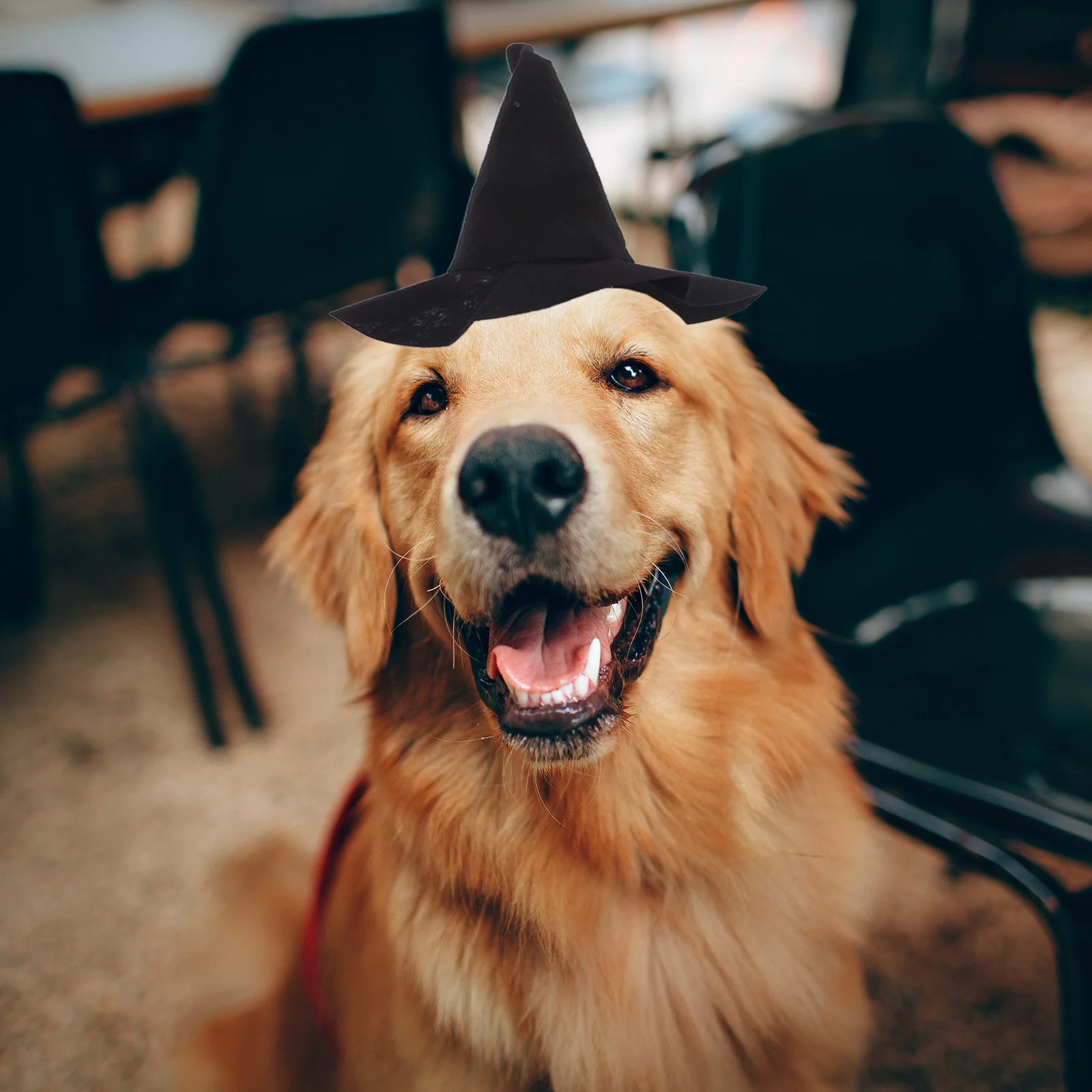 

2pcs Halloween Witch Hat Soft Nonwoven Party Accessory For Pets Small Costume Funny Wizard Mini Spooky Charm Halloween Decor