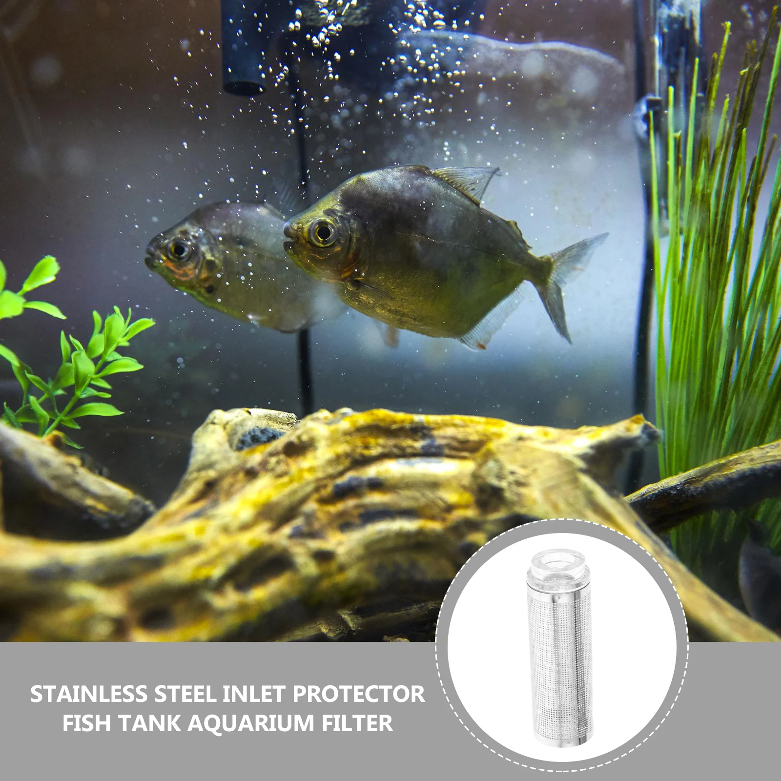 

Stainless Steel Acrylic Water Inlet Protective Cover Filter Guard Mesh Easy Clean Aquarium Fish Tank Purifier Strainer Pond Pet