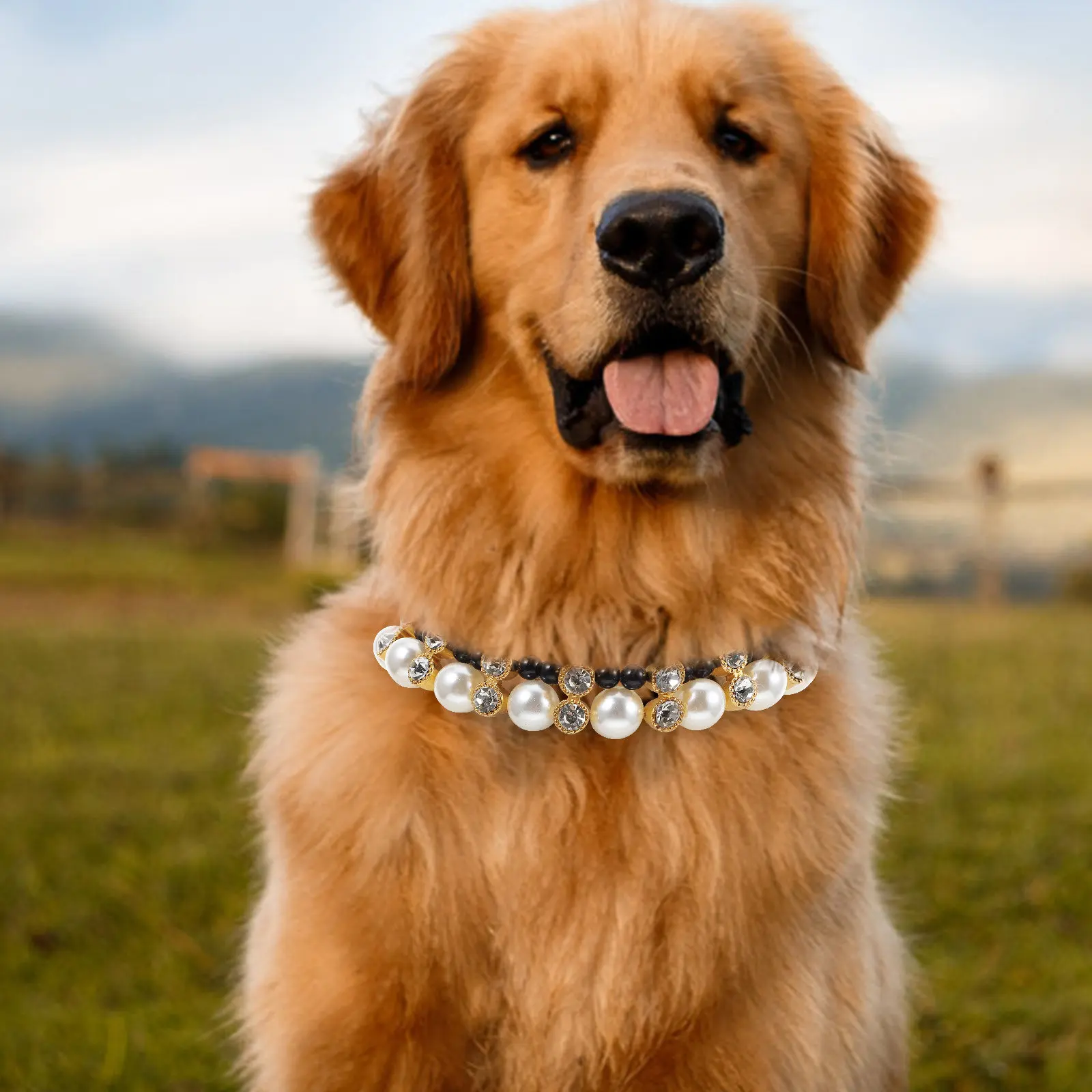 Pet Collar Pearl Beaded Dog Necklace Party Costume Decorative Puppy Collar Fashion Outdoor Wedding Competition Accessory Unique