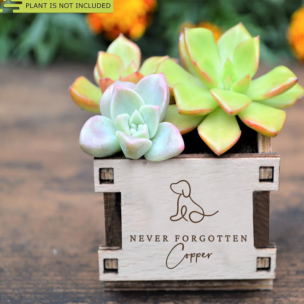 Personalized Dog Memorial Gift Planter Never Forget Dog Sympathy Gift Pet Memorial Gifts Custom Plant Pot for Pet Lover