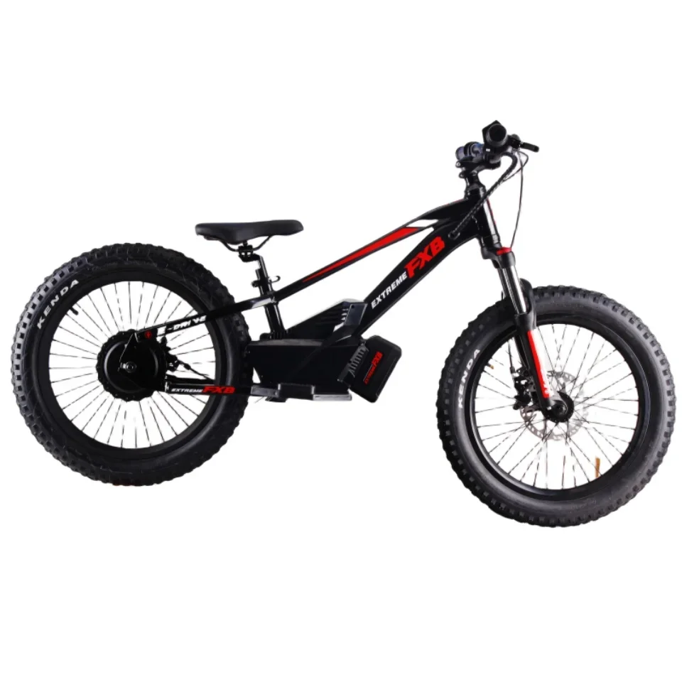 FXB mini motocicleta 20 pulgadas bicicleta para niños con batería de litio bicicleta eléctrica de cross 36V bicicleta de equilibrio eléctrico ebike 12 pulgadas 16 pulgadas