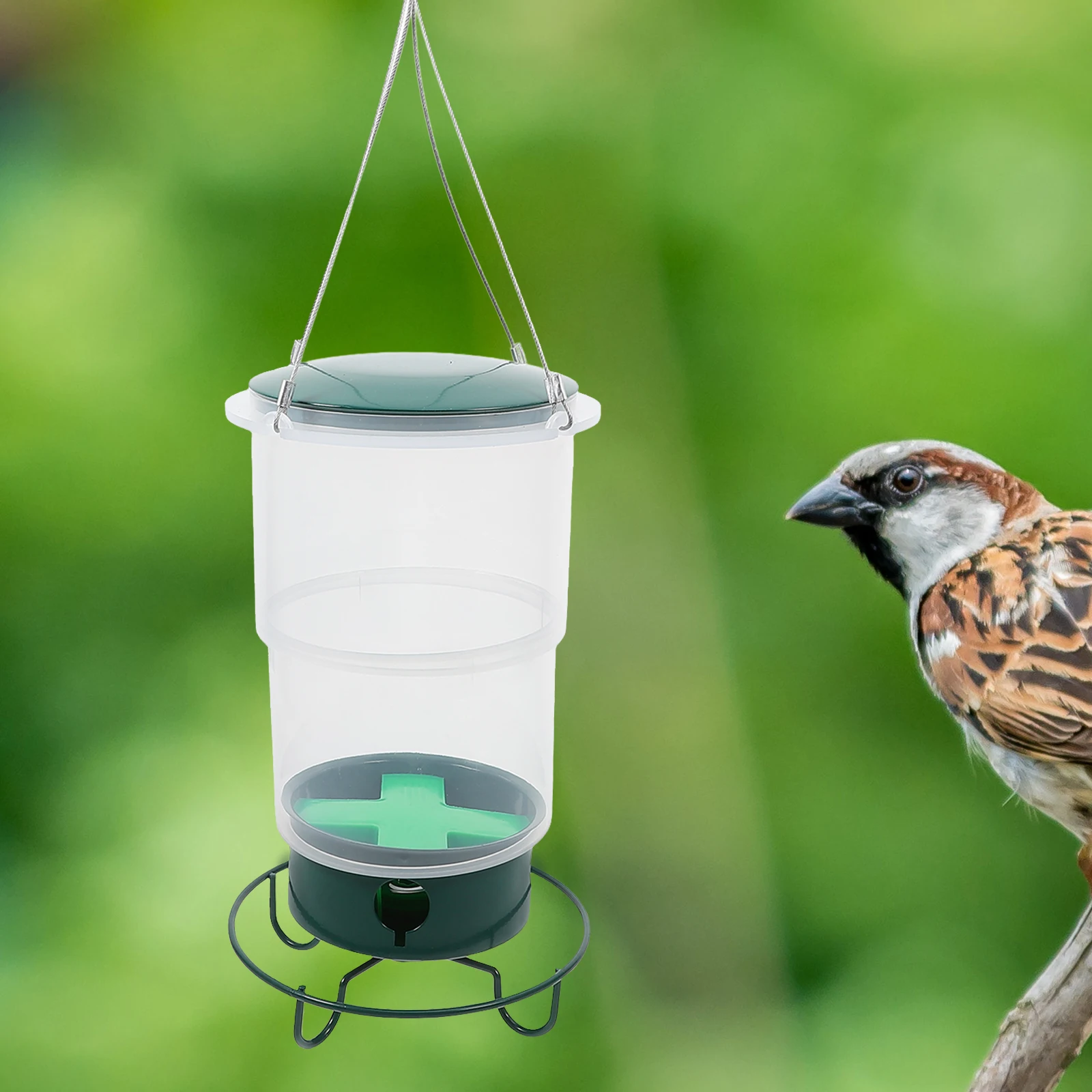 

Durable Hanging Hummingbird Outdoor Weather Resistant Water Feeding Tool Container Wild Bird Feeder Cylinder Type