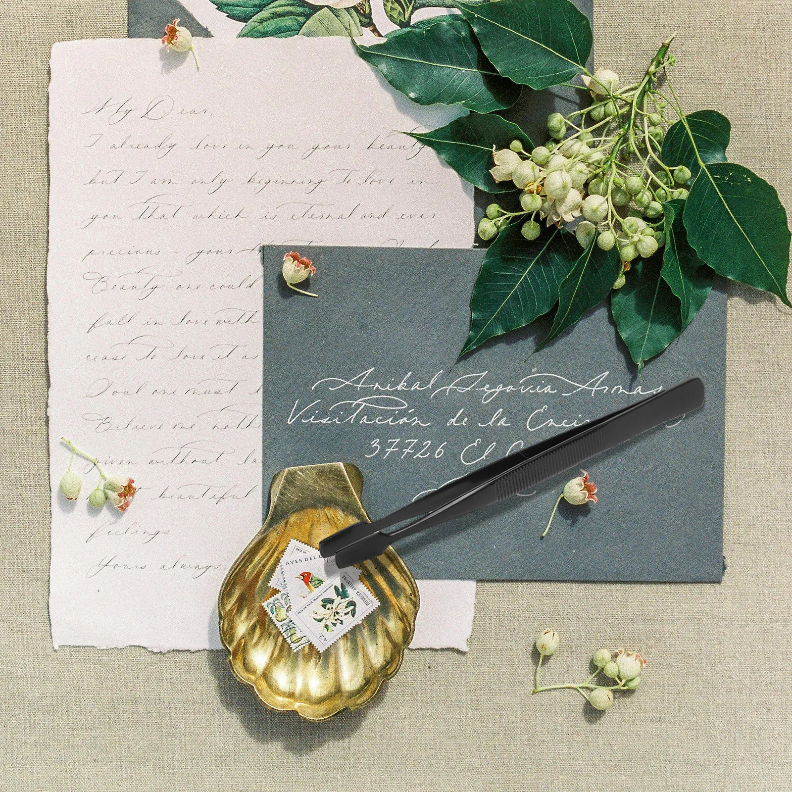 

Stainless Steel Anti Magnetic Tweezers 125mm Length Non Scratch Precision Tips for Professional Stamp Collectors