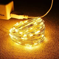 Led Fairy Lights Copper Wire String 1/2/5/10M Holiday Outdoor Lamp Garland For Christmas Tree Wedding Party Decoration 4