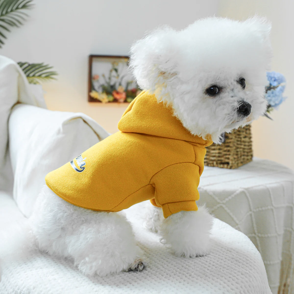 1PC pet clothing cat spring and autumn black flower California yellow hoodie suitable for small and medium-sized dogs