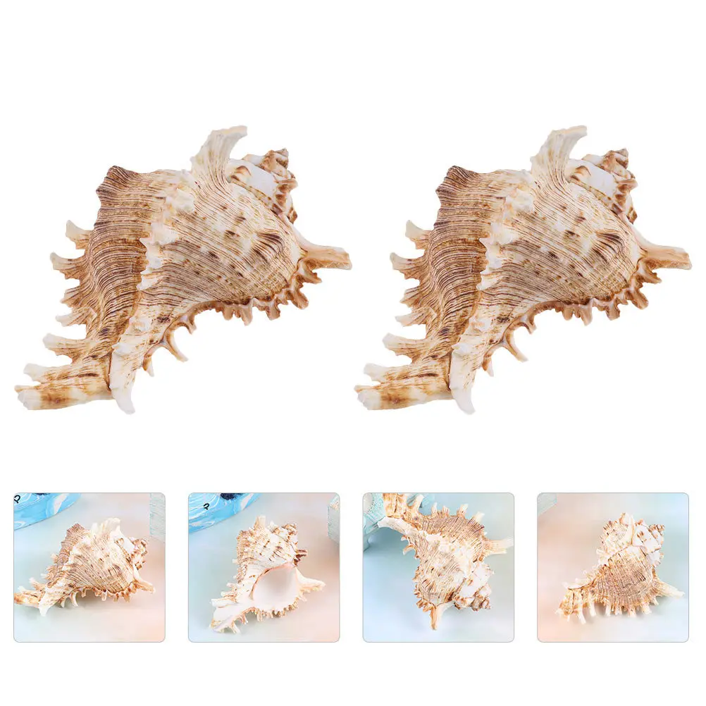 

2Pcs Fish Tank Natural Conch Shell Aquarium Ornaments Landscaping Decorations Safe Fresh Salt Water Fish Shelter Decors