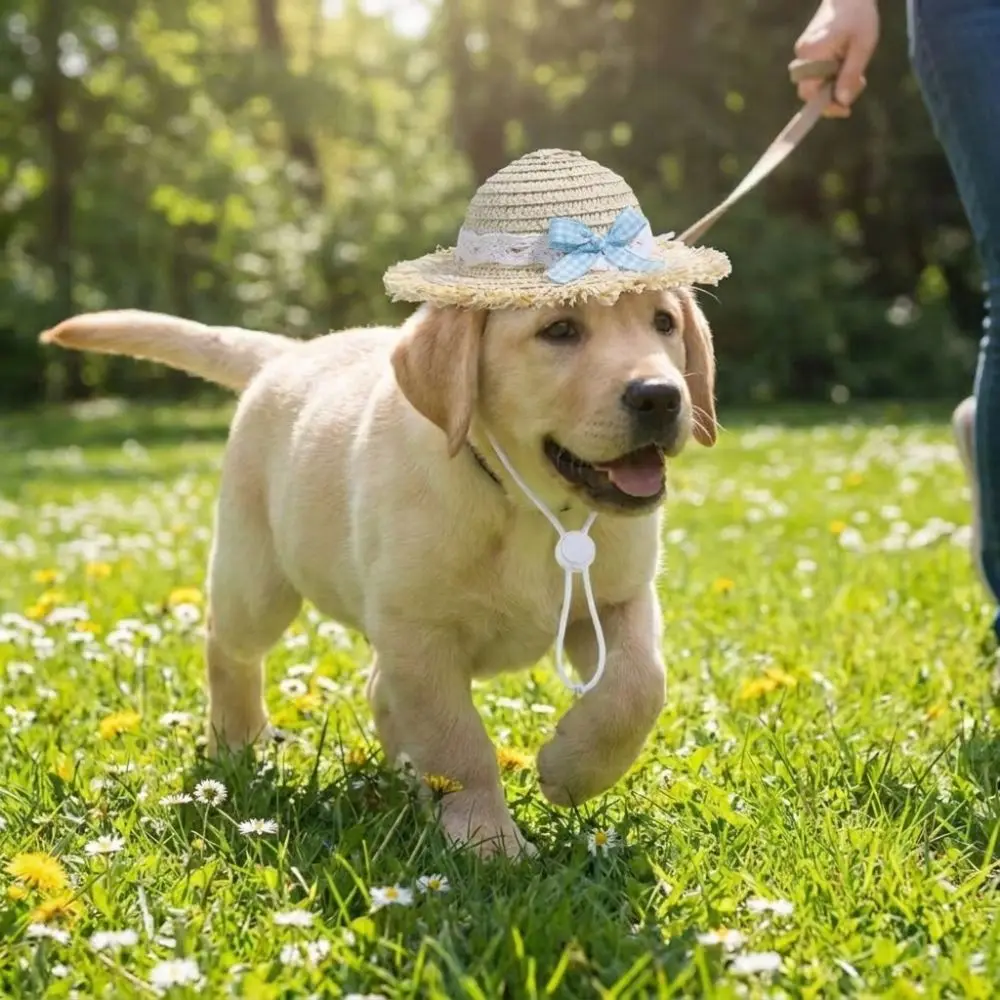 Breathable Pet Lace Bow Hat Adjustable Chin Strap Sun Protection Pet Sunscreen Hat Hand Knitting Sun Protection Hat