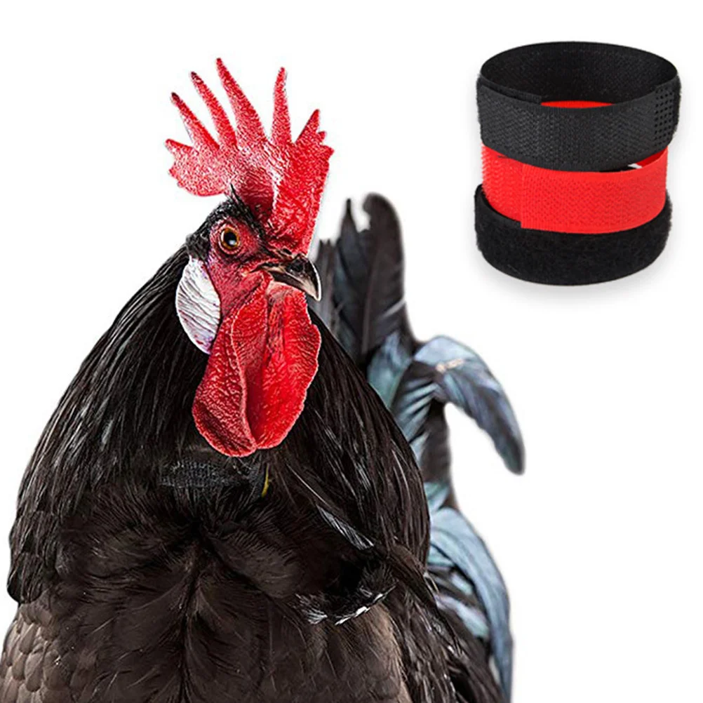

4pcs Collar Automatic Chicken Feeder Accessories for Pet Coop Quail Farm Supplies
